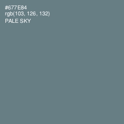 #677E84 - Pale Sky Color Image